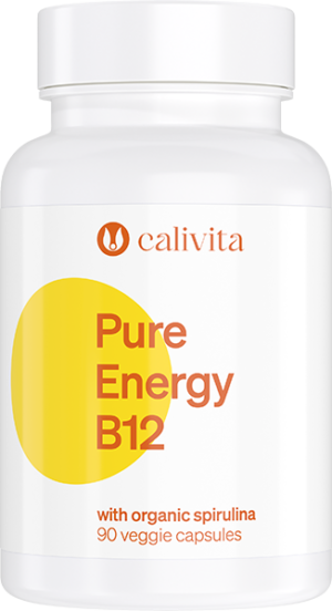Pure Energy B12